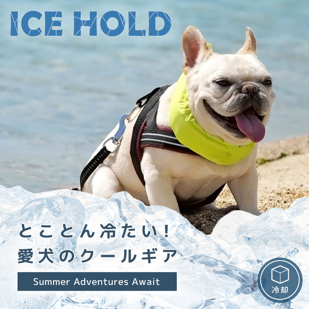 【楽天お買い物マラソン★5％OFF】【 犬 猫 ペット 】iDog IDOG ICE HOLD ネッククーラー 保冷剤付 アイドッグ メール便OK【 あす楽 翌日配送 】【 暑さ対策 冷感グッズ 熱中症予防 冷却 ひんやり ヒンヤリ クール 涼しい】 3