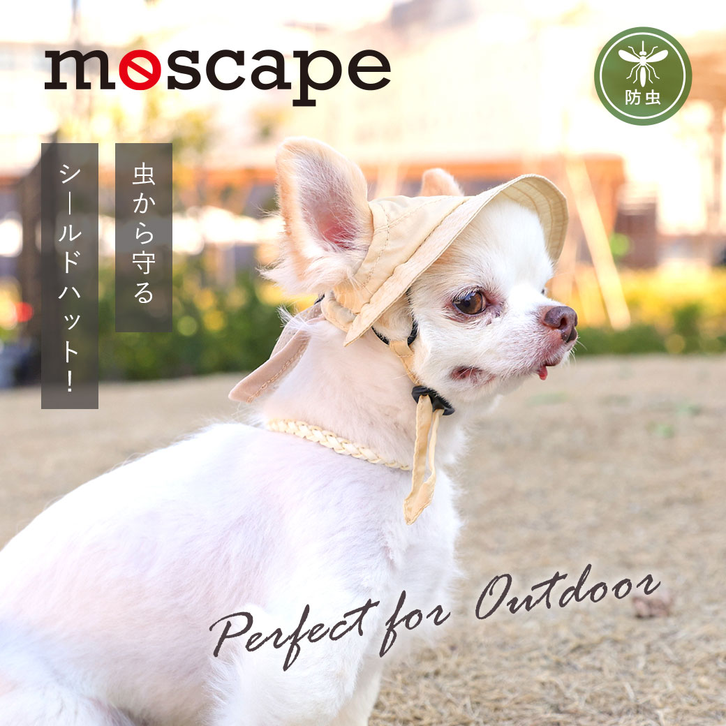 【決算感謝マラソン セール ★60％OFF】【 防虫 犬 帽子 】iDog MOSCAPE 防蚊シール...