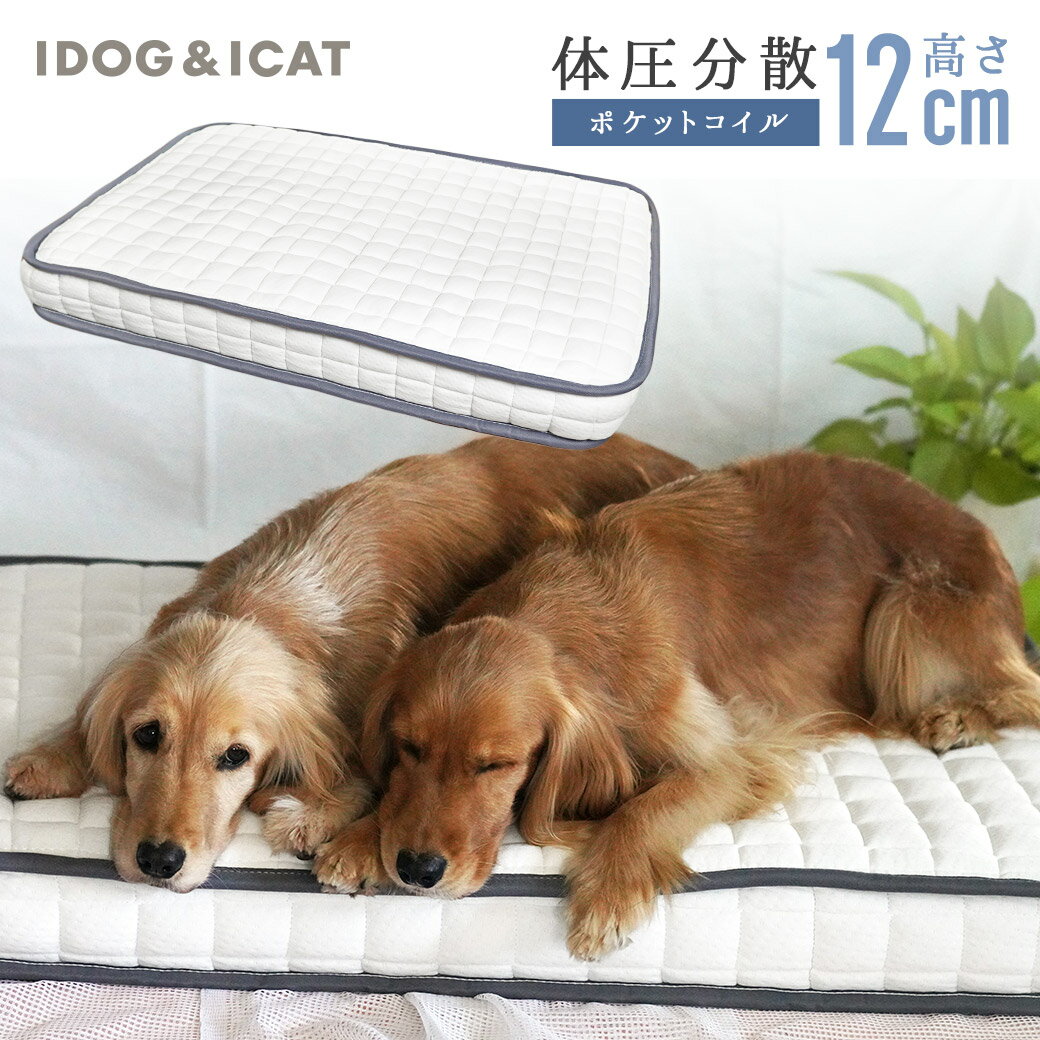 楽天犬の服のiDog【 犬 ベッド 】IDOG&ICAT ポケットコイルマットレス コンフォートスリープ 愛犬用95×65cm【 あす楽 翌日配送 】【 ベッド犬の服のiDog クッション ベット マットレス ペットベット 犬用ベッド 犬のベッド 犬 春 ベッド 体圧分散 】