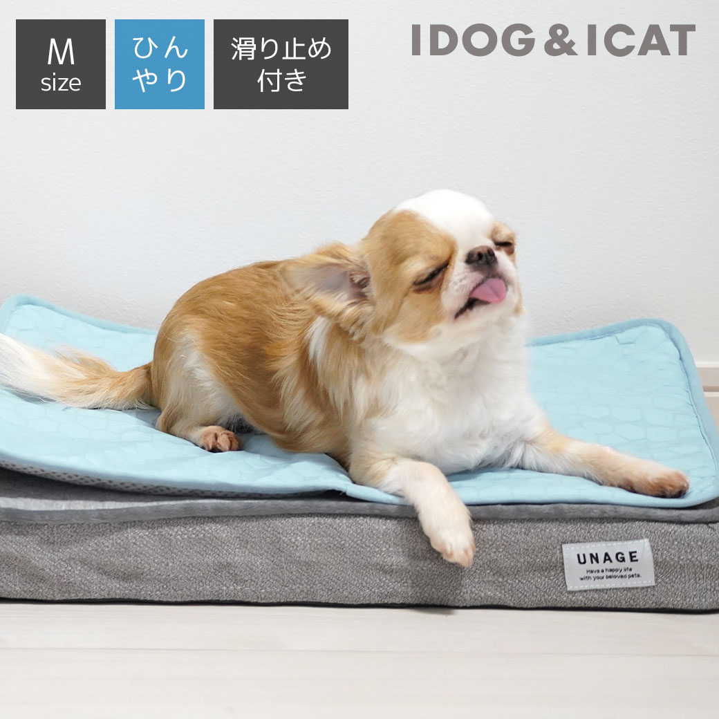 ひんやりマット（ペット用） 【 犬 マット 】IDOG&ICAT ひんやり吸熱敷きパッド PCM Mサイズ 滑り止め付き アイドッグ【 あす楽 翌日配送 】【 ベッド犬の服のiDog ひんやり クール ステイマット cool 夏用 冷感 暑さ 熱中症 ペット 子犬 小型犬 idog あいどっぐ 】