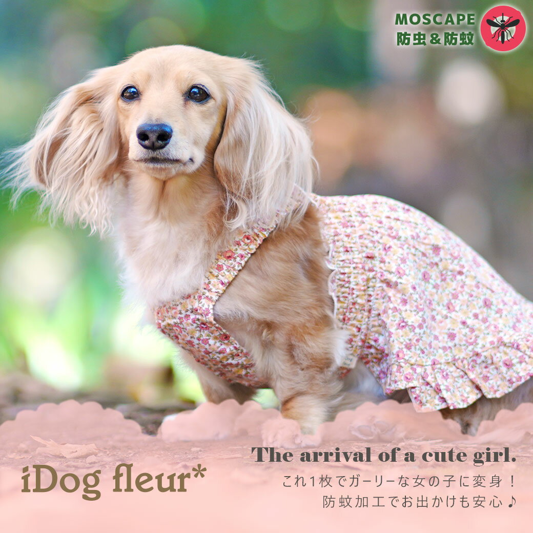 �� ���� ������ �ۡ� ���� �� �� ��iDog MOSCAPE ���㥶���ե����� iDog fleur �ɲ� �����ɥå� �᡼����OK�� �⥹������ �ɲ� ������ �ȥ��ס��ɥ� ����� �� ���� ������ ��褱 ���� �� �� ���� ���å����ե�� �� �ɥå������� ���� ��������iDog ���� idog ��
