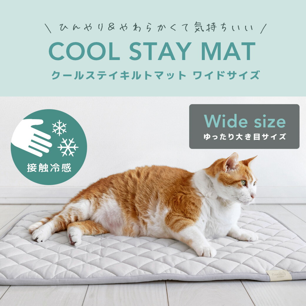 【 犬 マット 】IDOG&ICAT クールス...の紹介画像3