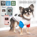 iDog COOL+MOSCAPE GREMLINSギズモの3つの約束Tシャツ