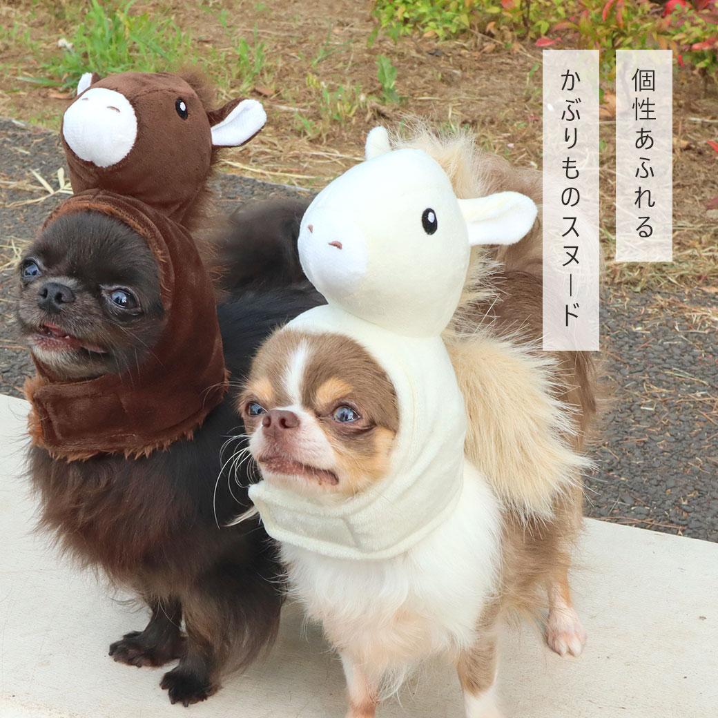 �ڥ��ꥢ��� ������ ��20��OFF�ۡ� �� �� ���̡��� ��IDOG&ICAT ���٤Τ��֤��� ���Ϥ��󥹥̡��� �����ɥå��� ���֤��� ˹�� ���� ���� ������ ���� �� �ȥ��ס��ɥ� ����� ���å����ե�� �� �ɥå������� ���� ��������