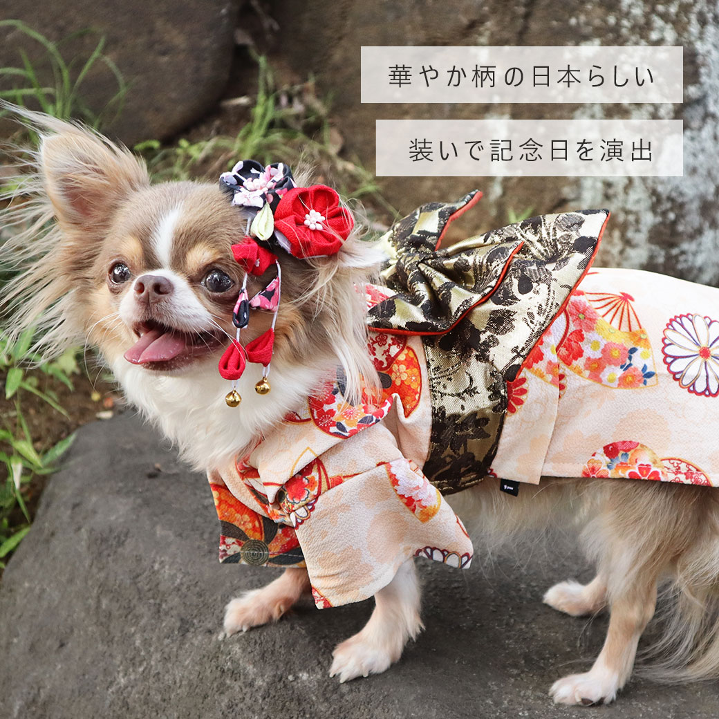 【プレゼントはカゴに入れてね★】【 犬 服 着物 】iDog 日本の伝統 華やか晴れ着 花飾り付き アイドッグ【 きもの 晴れ着 お祝い お正月 和服 和柄 犬の服 トイプードル 和装 犬服 犬の服のiDog チワワ 服 ダックスフンド 服 いぬ 】 3
