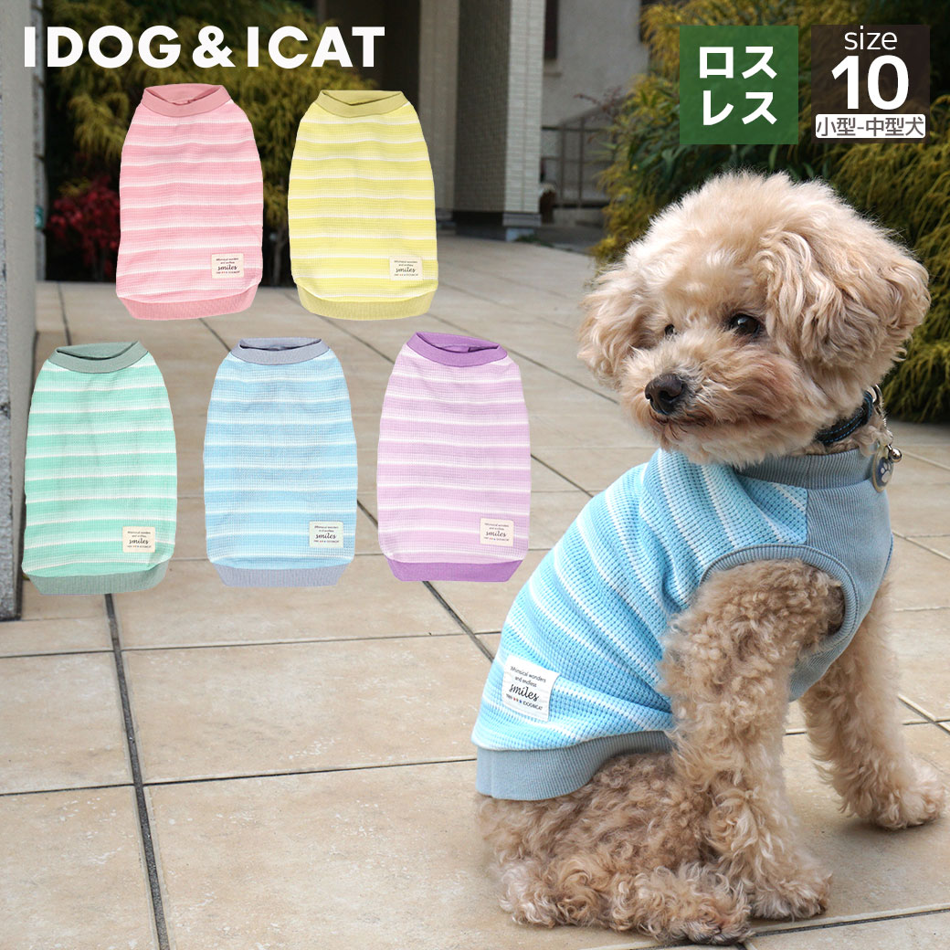 【 犬 服 春夏 】iDog リブ切替ボーダータンク アイドッグ メール便OK【 犬 服 ドッグウエア いぬ 犬の..