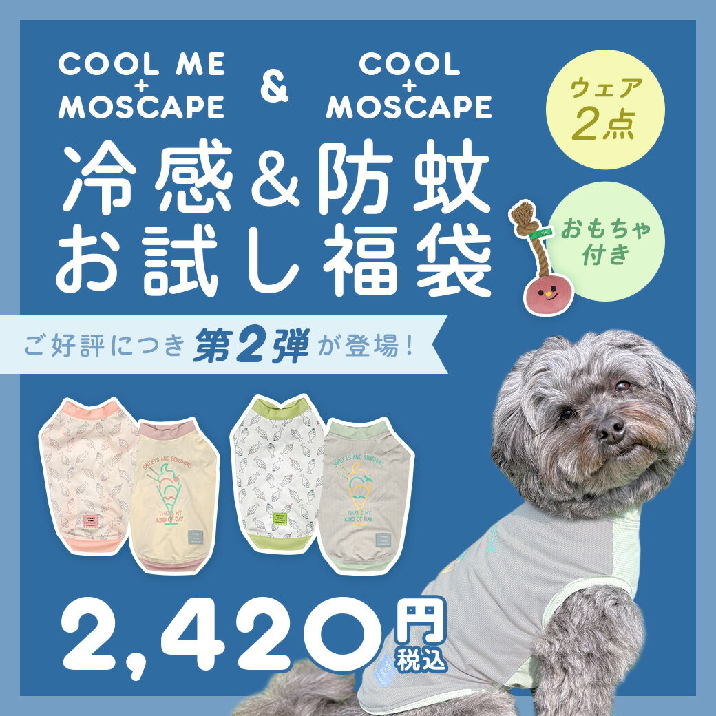サンプル画像3