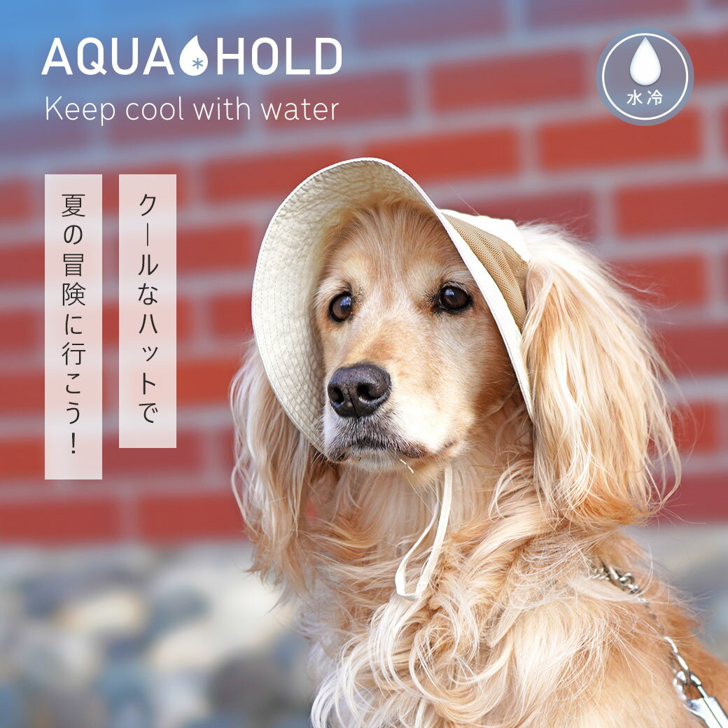サンプル画像3