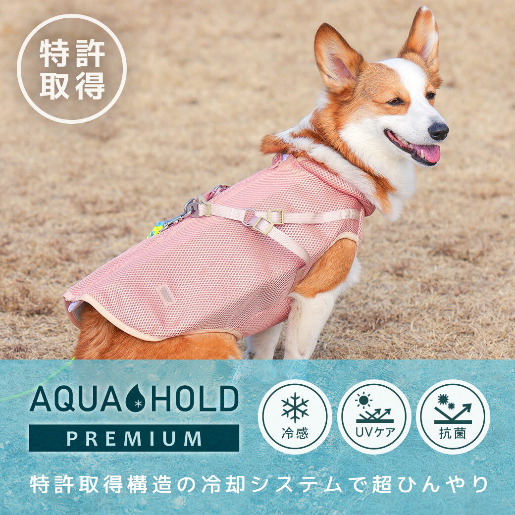 サンプル画像3