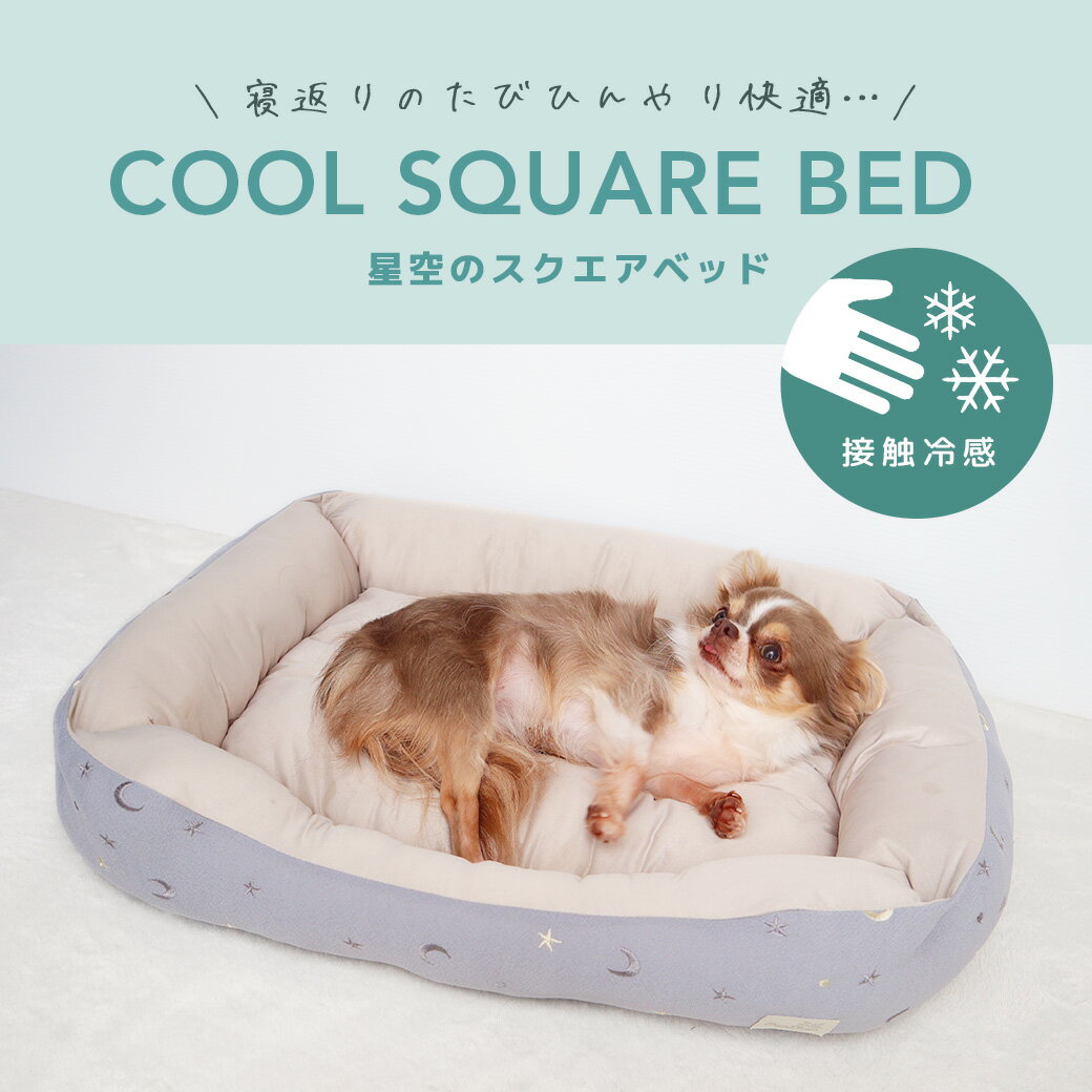 �ڥ����ݥ����Ѥ�5��OFF���ۡ� �� �٥å� ��IDOG&ICAT �����Υ��������٥å� �ܿ��䴶 ���� �ɽ� �����ɥå��� �Ҥ��� �䴶 ������ cool ���å���� ���ѥ٥å� ���ɥ顼 ������ �٥å� �٥å� ���Υ٥å� �Ҹ� �ѥԡ� �ƥ١�