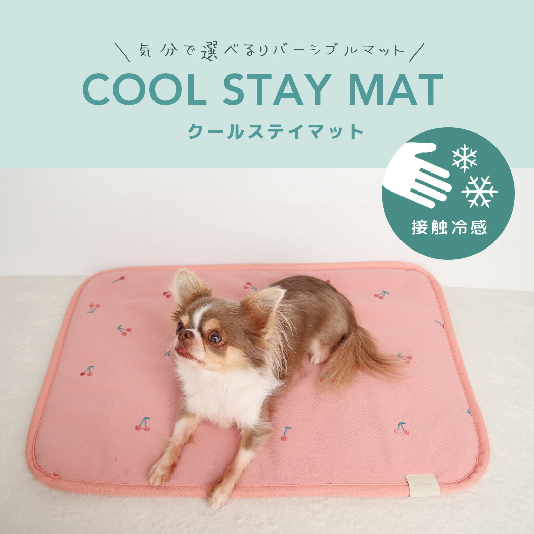 �� �� �ޥå� ��IDOG&ICAT �����륹�ƥ��ޥå� ��С����֥� �ܿ��䴶 ���� �ɽ� �����ɥå�