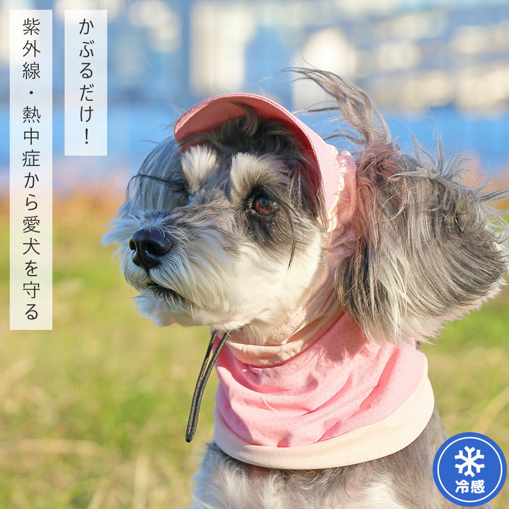 【 犬 服 スヌード 】iDog 日よけメッシュスヌード 接触冷感 アイドッグ メール便O...