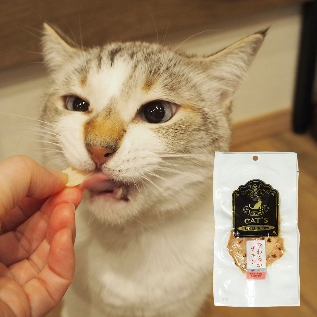 樂天商城 - 【 猫 おやつ 】三矢コーポレーション/やわらかチキン 40g【 猫のおやつ 猫用おやつ キャットフード ペット ペットフード icat idog 楽天市場 】