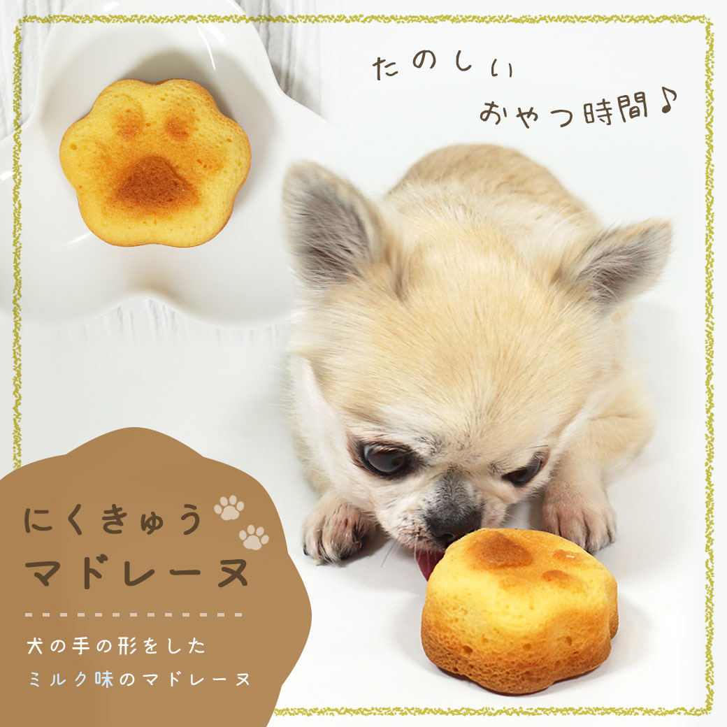 【 犬 おやつ 】肉球マドレーヌ【 国産 安心 ナチュラル 犬のおやつ 犬用おやつ ド...