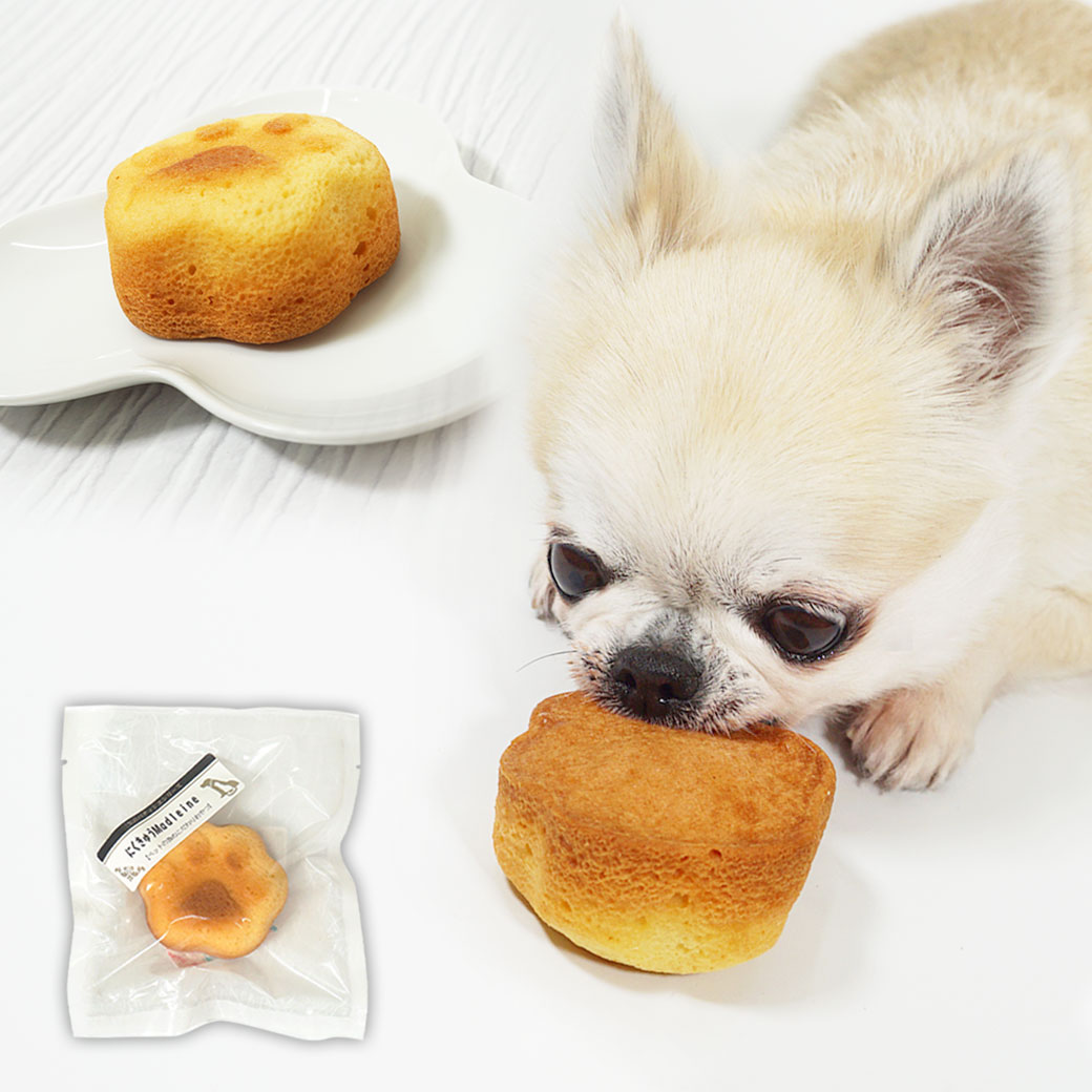 �� �� ����� ������ޥɥ졼�̡� ���Τ���� ���Ѥ���� �ɥå��ա��� �ߥ륯 idog ��ŷ ��