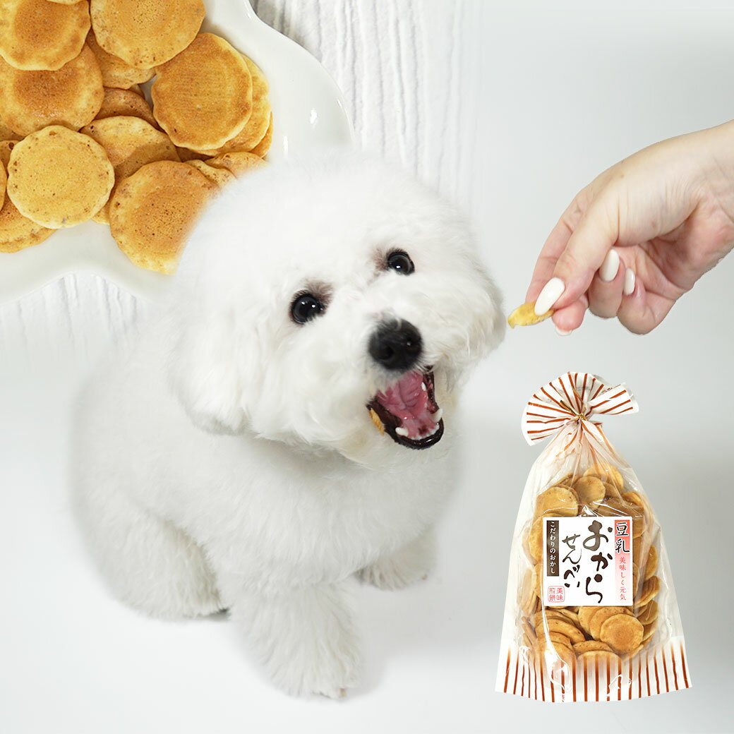 樂天商城 - 【 犬 おやつ 】豆乳おからせんべい【 犬のおやつ 犬用おやつ ドッグフード せんべい ヒューマングレード idog 楽天市場 】