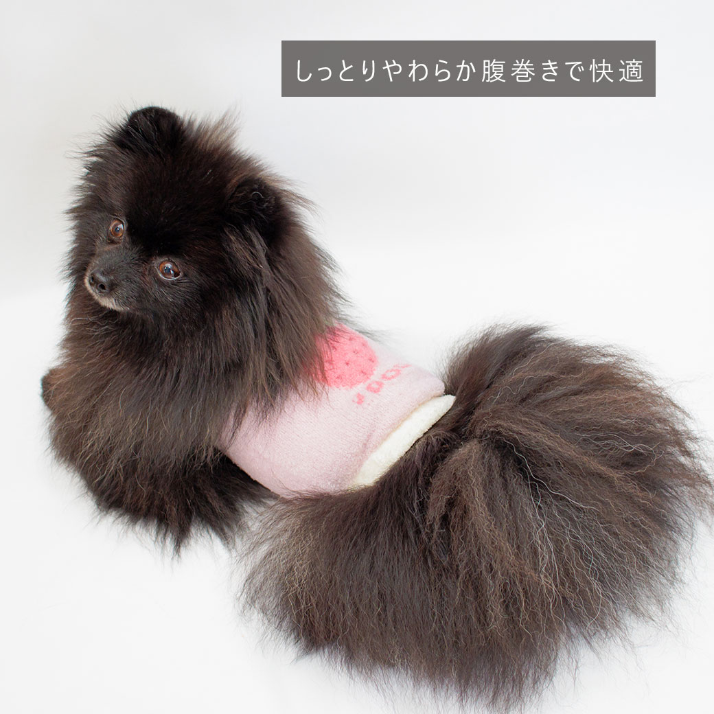 【 Point 5倍 犬 服 新作★】【 犬 腹巻 】iDog ふわもこ腹巻き アイドッグ メール便OK【 犬服 冬 犬 秋服 袖なし 腹巻 犬 服 かわいい 犬の服 おしゃれ ドッグウェア 犬用品 いぬ 防止 犬服 ブランド 小型犬 犬グッズ トイプードル チ】 idog-10018433 犬の服のiDog サンプル画像3