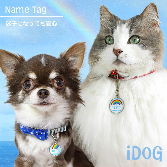 【 迷子札 犬 猫 】IDOG&ICAT ネームタグ迷子札レインボー メール便OK【 ネームプレート ドッグタグ 名札 鑑札 脱走対策 防災 名入れ 名前入り ネーム入り 印字 チャーム ストラップ 子供 icat i dog 】