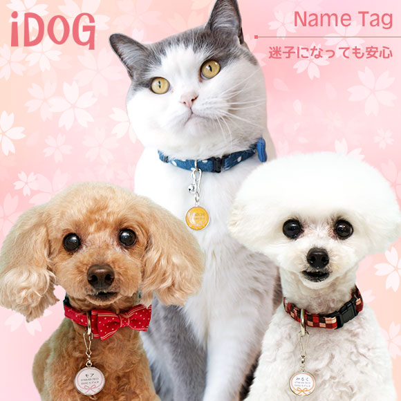 【 犬 迷子札 猫 】IDOG&ICAT ネームタグ迷子札花結び メール便OK【 ネームプレー...