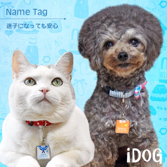 【 迷子札 犬 猫 】IDOG&ICAT ネームタグ 迷子札角丸 洋服 メール便OK【 ネームプレート ドッグタグ 名札 鑑札 脱走対策 防災 名入れ 名前入り ネーム入り 印字 チャーム ストラップ 子供 icat 】