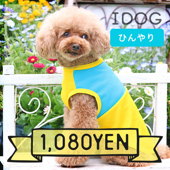 【ひんやり 犬服】 iDog COOL ME パイナップルバイカラータンク アイドッグ【あす楽...
