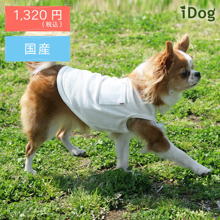 【 犬 服 タンクトップ 】iDog シンプルポケットタンク メール便OK【 あす楽 翌日配送 】【 犬服 夏服 春夏 春 春服 夏 犬の服 ペット 猫 イヌ トイプードル チワワ ダックス 犬用品 犬用 ドッグウェア アイドッグ あいどっぐ i dog 楽天 】