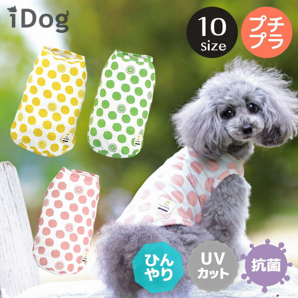 【 冷感 犬 服 】iDog COOL Chill レモンタンク 接触冷感 アイドッグ メール便OK【 あす楽 翌日配送 】【 涼感 ひんやり cool クールウェア 涼しい 夏服 夏用 犬の服 トイプードル ダックス チワワ ドッグウェア 暑さ対策 犬 服 i dog 楽天 】のサムネイル