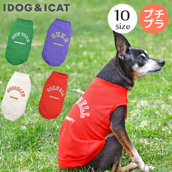 【春夏ロスレスセール★10％OFF】【 犬 服 春夏 】iDog カレッジロゴメッシュタンク アイドッグ メール便OK【 あす楽 翌日配送 】【 犬 服 ドッグウエア いぬ 犬の服 小型犬 パピー 犬服 おしゃ…