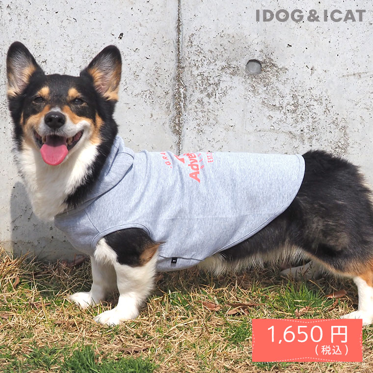 【 犬 服 春夏 】iDog アドベンチャーロゴパーカー アイドッグ メール便OK【 あす楽 翌日配送 】【 犬 服 ドッグウエア いぬ 犬の服 小型犬 パピー 犬服 おしゃれ かわいい 犬 服 セール トイプードル チワワ ダックス あいどっぐ idog 】 2