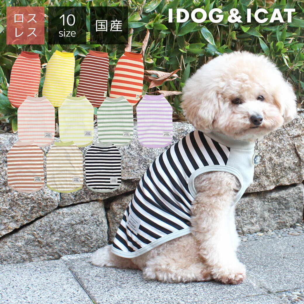 【 犬 服 春夏 】iDog リブ切替ボーダータンク アイドッグ アイドッグ メール便OK【 あす楽 翌日配送 】【 犬 服 ドッグウエア 犬の服 小型犬 パピー 犬服 おしゃれ かわいい 犬 服 トイプード…