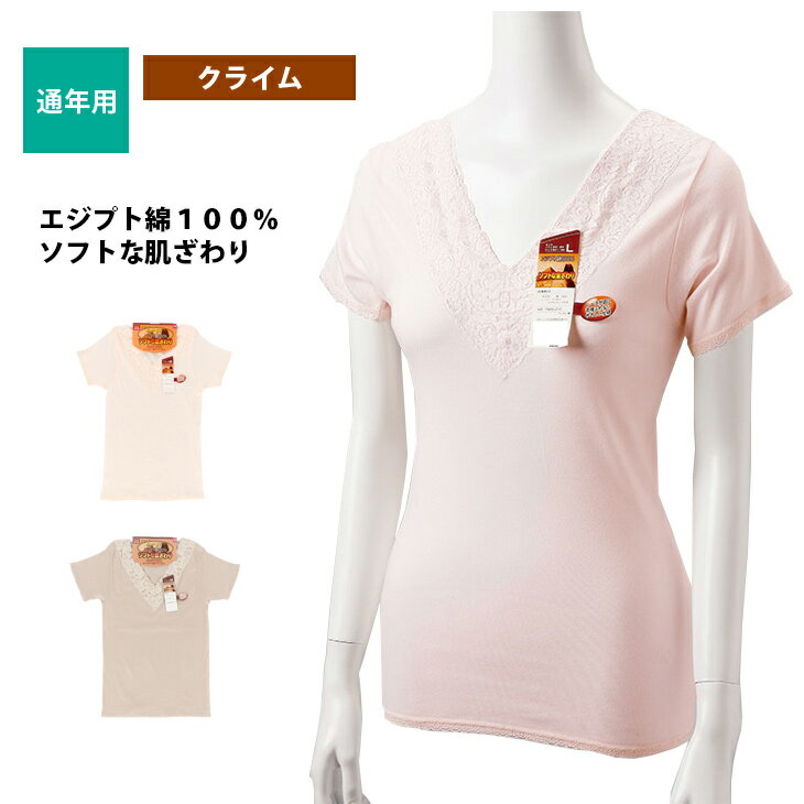 ����ʡ� ��ǥ����� 3ʬµ Ⱦµ �����ץ��� ��100% �ؿ��� ��� ȩ�� M L LL ���饤�� K443093