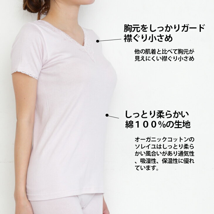 ����ʡ� ��ǥ����� ȩ�� �������˥å����åȥ� 3ʬµ ��100�� ������ �ߤ��꾮���� ���˥� ���� ��� ���Υ���ե��ˡ� ������ SA2130 3L