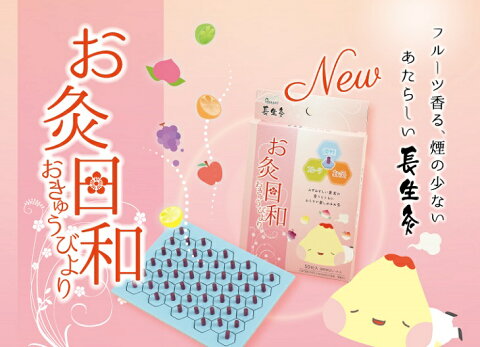 【送料無料!】長生灸 お灸日和(山正) 1000壮入