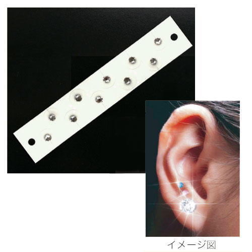 ƥ(Ĥܥ奨꡼)(3.2mm)10