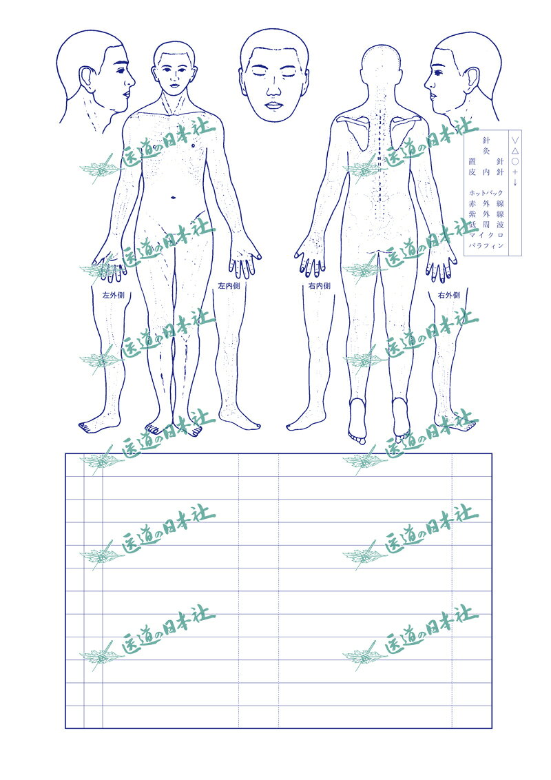 このカルテは鍼灸臨床で確認しておくべきポイントを的確に記載できるすぐれもの。表面には、既往歴や家族歴、医師の診断などを含む現病歴、症状や主訴、脈の情報などが記載でき、裏面は人体図とともに自由に圧痛や刺鍼ポイントが書き込めるようになっています。自分に合った使い方で患者さんの情報を整理してみましょう。 ■100枚1組