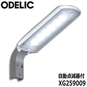 ں߸ˤۥǥå XG259009 LED  ưǴ FL20W ɱ LED ODELIC  ŵ Υ硦Բ/