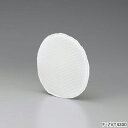 【純正品】F-ZVT4300 Panasonic 除菌フィルター ジアイーノ用【F-MV2300-WZ/F-MV4300-SZ/F-MV4300-WZ他用】パナ...