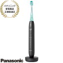 【最短翌日お届け】EW-DT88-K Panasonic ドルツプレミアム W音波振動ハブラシ スマート (スペースブラック) Bluetooth搭載 最上位モ...