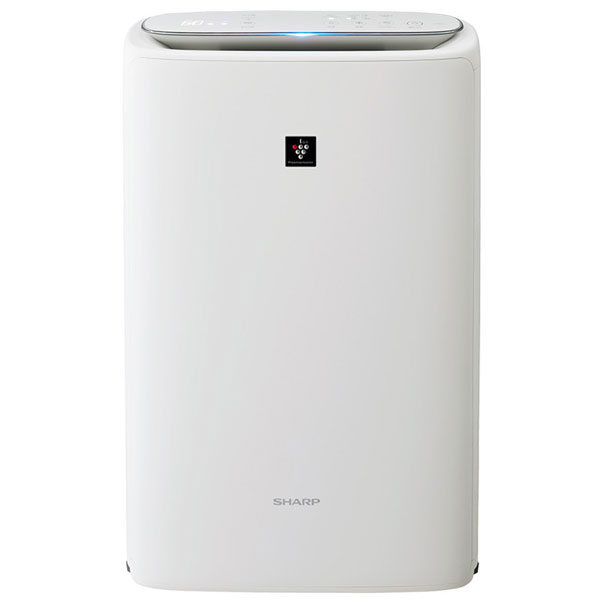 kirs50w.jpg
