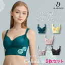 CelleBra 【5枚セット】スパークルピンク エレガンスイエロー ブラック ミニマルグリーン ドラマチックベージュ セレブラ ナイトブラ バスト補整 流れ胸 離れ胸 垂れ胸 パワーメッシュ ノンワイヤー 補整ブラ おうち時間 大きいサイズ セット