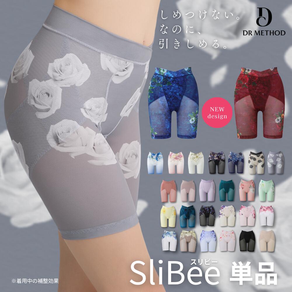 �_�V���[�Y�݌v300�����˔j�^�uSliBee �X���r�[�vDR METHOD �h�N�^�[���\�b�h ���� ��w���z ����J�� �c