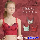 CelleBra【3枚セット】ノーブルベージュ エレガンスグリーン ルーセントレッド セレブラ ナイトブラ バスト補整 流れ…