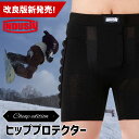 20-21 A.R.K SG HIP PROTECTOR SHORT スノーボード プロテクター ヒッププロテクター スノボ ヒッププロテクター ヒップ プロテクター ヒップパッド AR12010