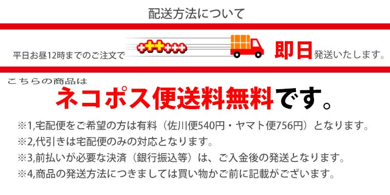 【送料無料】【あす楽】■マラソン期間限定■2000円均一■レオパードバンドゥフリンジビキニ水着レディースアニマル柄豹柄ヒョウ柄モード系セクシーダンス衣装クリスマスイベント