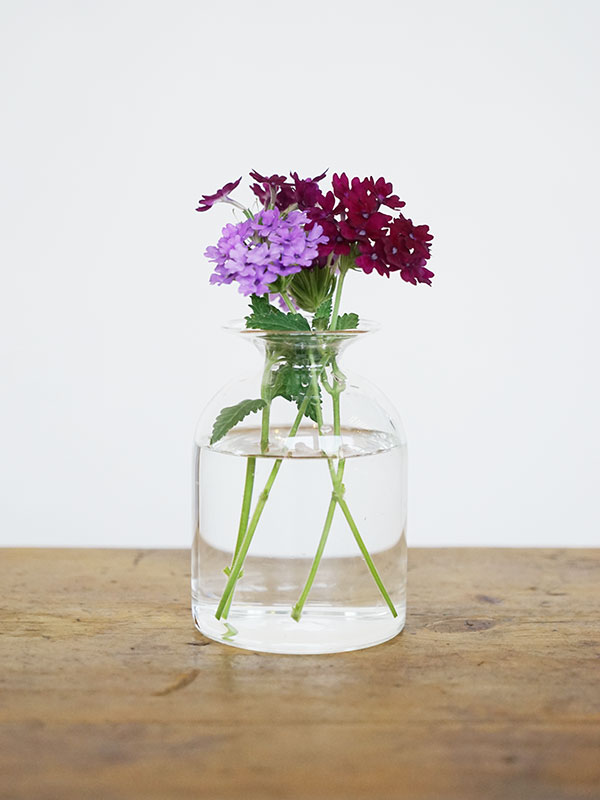 ガラスベース レーヌ TE858 花瓶 おしゃれ 北欧 一輪挿し