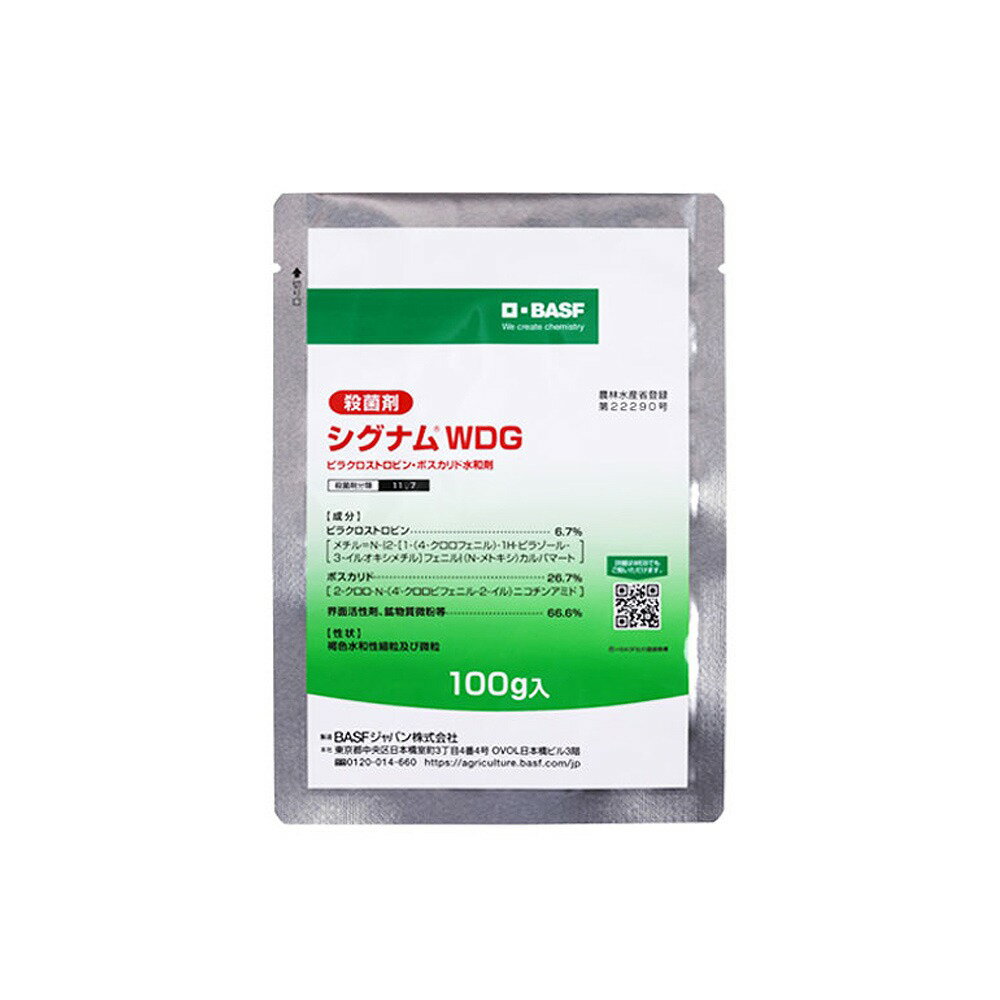 BASF VOiWDG 100g (4531607001450)