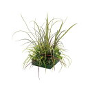 タカショー GD-248 山里セット 道草C 1台 人工植物
