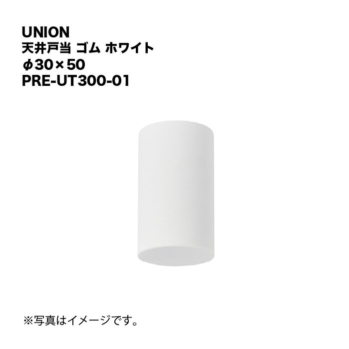 ・カテゴリー:ホテル客室用金物　プレガノ ＞ サニタリー バス ＞ 天井戸当・材質・仕上げ:ゴム ホワイト ・サイズ:φ30×50・施工:取付ボルト　M12(付属しておりません）・備考:浴室対応可当社基準の試験に合格したことを示します。重負荷の環境(温泉・サウナ等）などのあらゆる浴室環境でのご使用を保証するものではありません。