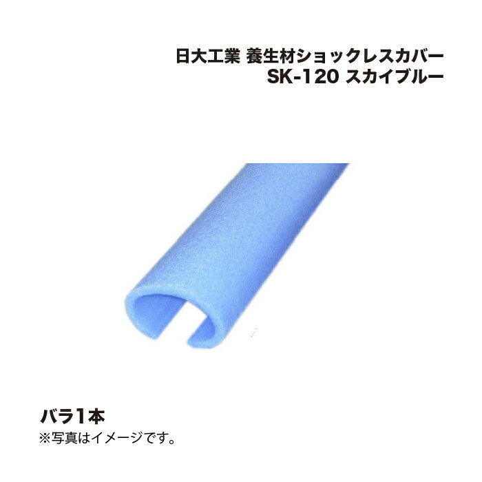 繩 ॷå쥹С SK-120 ֥롼 ʡ С