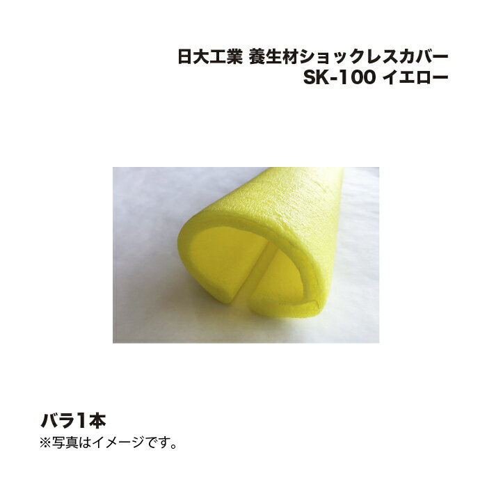 繩 ॷå쥹С SK-100  ʡ С